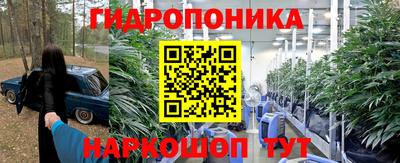 соль ск Будённовск