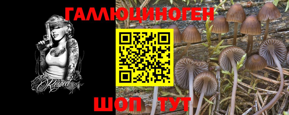 наркошоп  Вход с VPN  Курск  Галлюциногенные грибы MAGIC MUSHROOMS  Псилоцибиновые грибы Magic Shrooms 