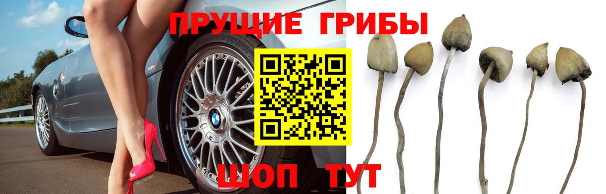 Псилоцибиновые грибы Magic Shrooms Курск